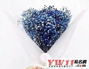  花店名字大全好听花店2021--第1张
