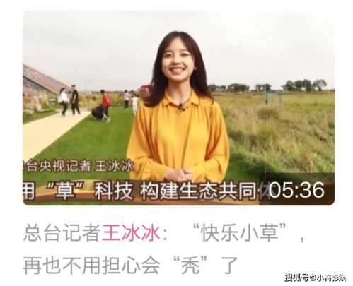  短剧前妻竟是白月光全集观看--第1张
