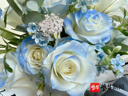  碎冰蓝玫瑰真正的花语--第1张
