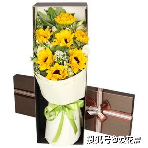  送女老师什么花合适，送女老师什么花合适--第1张