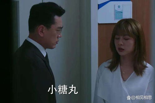  离婚后枭总爱她到发疯全集观看，离婚后枭总疯狂追妻全集免费观看--第1张