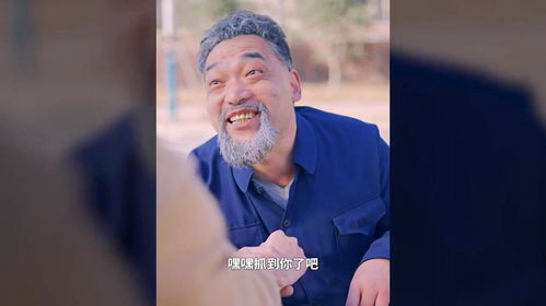  短剧布衣神算全集观看--第1张