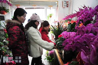  南京鲜花市场，繁华背后的美丽故事，南京鲜花市场的美丽与繁荣背后的故事--第1张