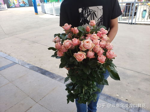  昆明批发花的联系方式--第1张