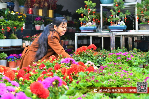  网上鲜花批发，鲜花采购的新选择--第1张