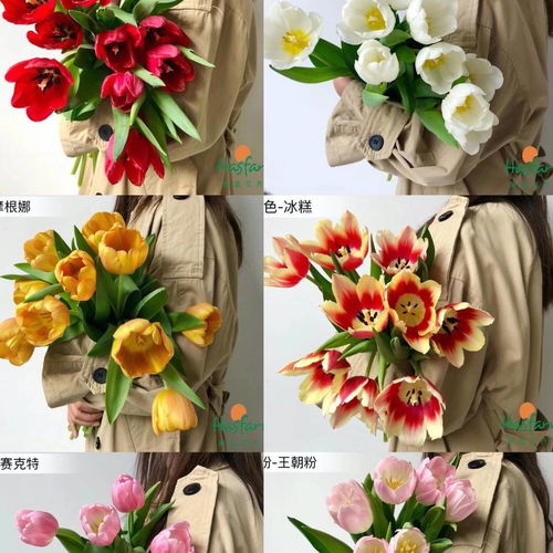  情人节送花攻略，最合适的鲜花送给最心爱的人--第1张