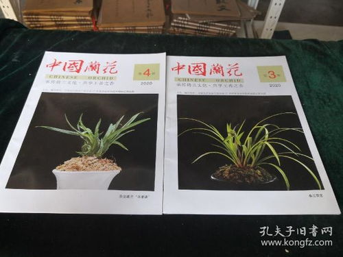  花卉期刊，探索花卉领域的专业平台--第1张