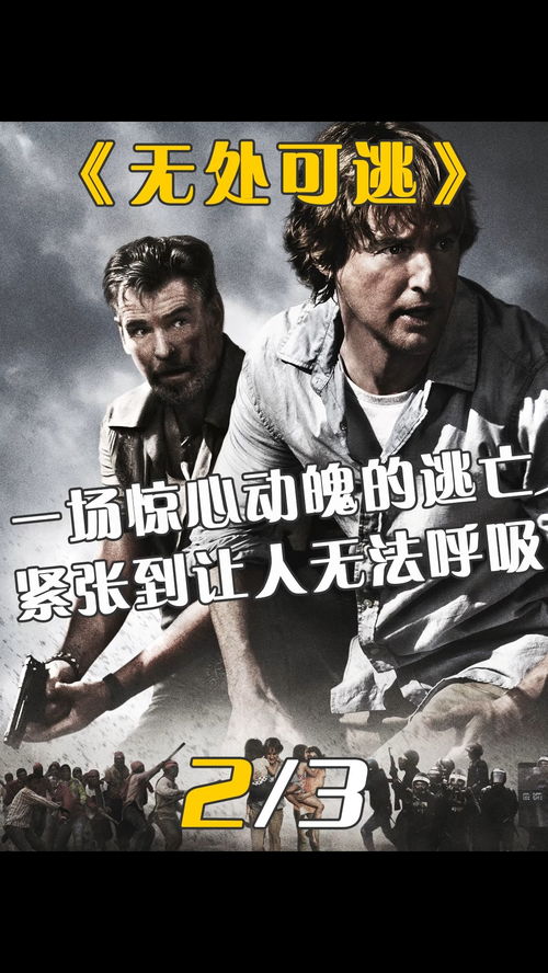  短剧顾少娇妻怀孕出逃全集观看，一场惊心动魄的逃亡之旅--第1张