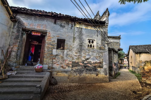 见鬼鲜花店——一个神秘而充满惊喜的角落，见鬼鲜花店，神秘角落，惊喜不断--第1张