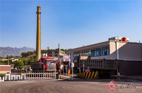  中国绿化网，绿色发展的新引擎--第1张