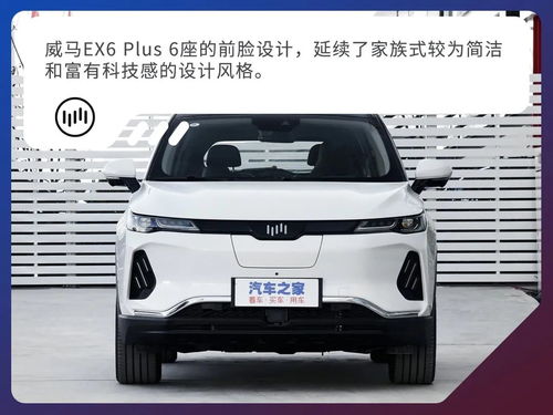 威马ex6_威马EX6图片--第1张
