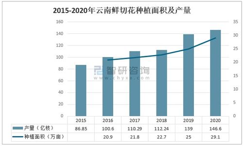  中国花卉产业发展现状，中国花卉产业发展现状，规模壮大，多元化趋势明显--第1张