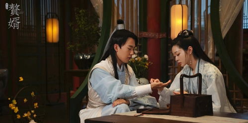  短剧赘婿归来马铭婕全集观看--第1张