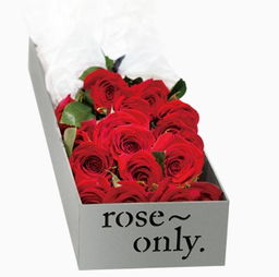 Roseonly花店官网，打造浪漫与品质的完美结合--第1张