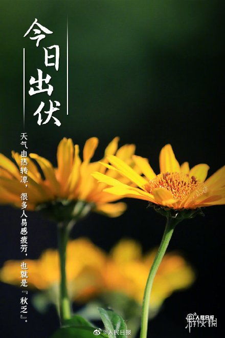  短剧唯有清风照明月全集观看--第1张
