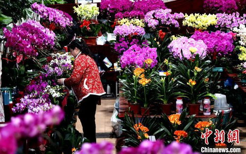  云南芊花荟鲜花批发网，一站式鲜花采购平台，品质卓越，价格亲民--第1张