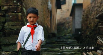  短剧谁懂啊霍总是个恋爱脑全集观看，恋爱脑霍总追爱记全集观看--第1张