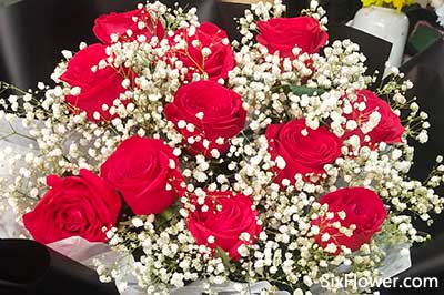  送9朵玫瑰花代表什么意思，送9朵玫瑰花代表长久的意思。--第1张
