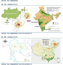  白皮松市场价格，影响因子的分析与市场前景展望，白皮松市场价格影响因素分析与市场前景展望--第1张