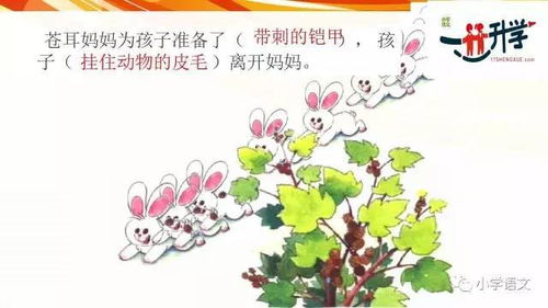  二年级植物传播方法--第1张