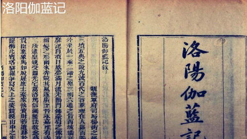  短剧史上最强炼气期全集，一部让你瞠目结舌的修炼奇书--第1张