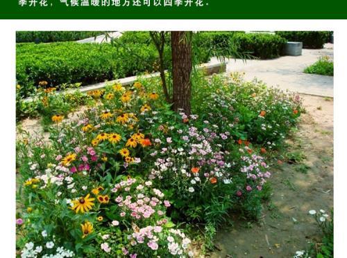  庭院绿化树种的选择与种植--第1张