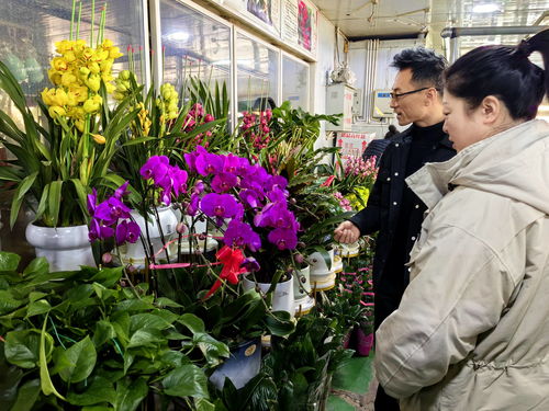  网上鲜花商城，鲜花购买的新选择--第1张