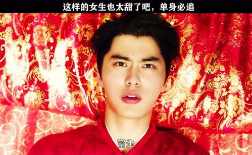  短剧范总天上掉老婆了全集观看--第1张