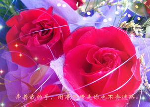  情人节玫瑰花图案，浪漫与情感的交织，情人节玫瑰花浪漫情感交织的图案设计--第1张