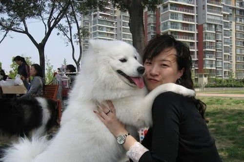  短剧年下狼狗撩得姐姐面红心跳全集观看，感受甜蜜爱情故事，短剧年下狼狗撩得姐姐面红心跳全集在线观看，甜蜜爱情故事探索--第1张