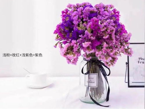  勿忘我的花，永恒的记忆与情感的寄托--第1张