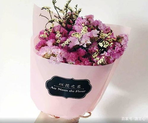  友谊的花，友谊之花盛开的秘密--第1张