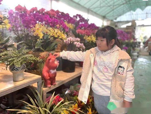  花卉生意有多少利润？--第1张