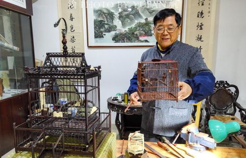  短剧雀笼全集观看，短剧雀笼全集在线观看，一部引人入胜的短剧集--第1张