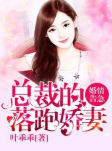  短剧傅少的落跑娇妻娇妻归来第二季全集观看--第1张