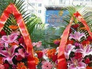  附近开业花篮店在哪里