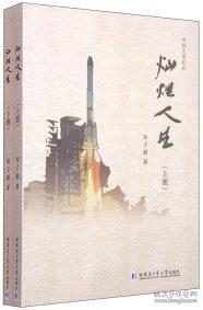  短剧灿烂人生长篇全集观看--第1张