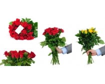  玫瑰花花束图片，浪漫与情感的完美结合，玫瑰花花束浪漫情感之花语图片大全--第1张