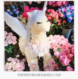  送花网上海，浪漫与艺术的完美结合--第1张