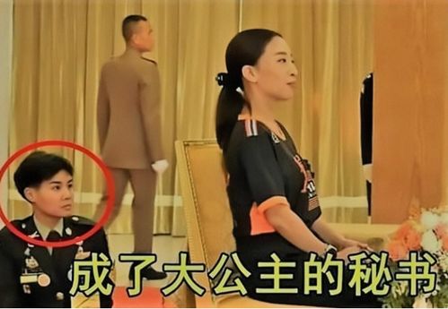  短剧AA替嫁成大佬的掌心宠全集观看--第1张