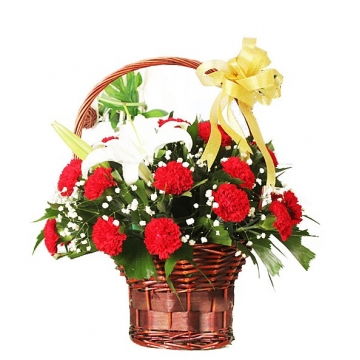  白百合的花语和康乃馨的花语，白百合与康乃馨的花语，纯净的爱与尊重。--第1张