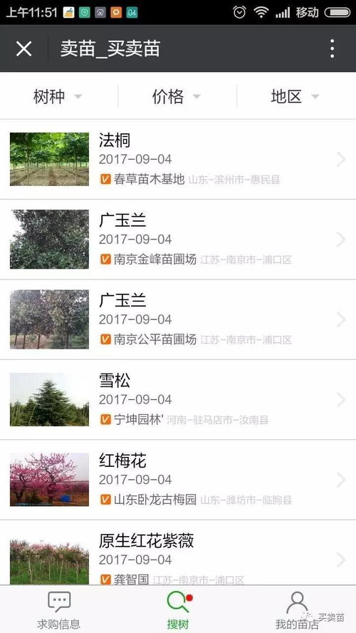  卖树的网站，一个卖树的网站的名称是什么？--第1张