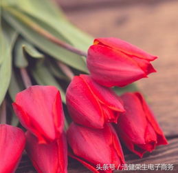  女人送男人花的讲究--第1张