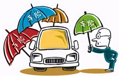 车险哪些险种是必买的_车险哪些险种是必买的呢--第1张
