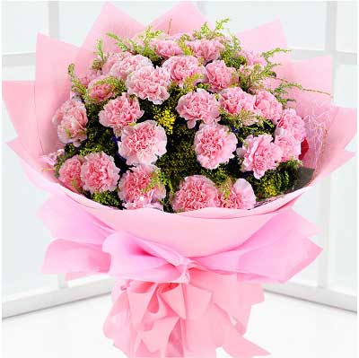  粉康乃馨花语，粉康乃馨的花语是温馨、慈祥、不求代价、无尽的爱。--第1张