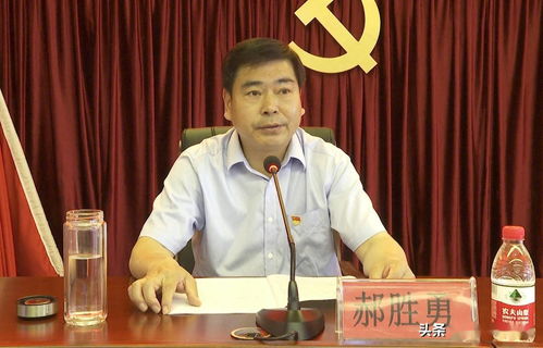  短剧再借今生全集观看，一部引人入胜的现代情感剧，短剧再借今生全集，现代情感剧的魅力观赏--第1张