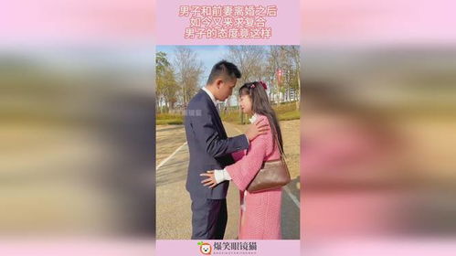  离婚后前妻跪求复合全集观看--第1张