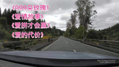  999朵玫瑰背后的故事，玫瑰之约，999朵玫瑰背后的爱情故事--第1张
