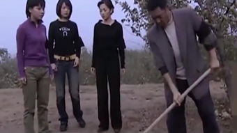  短剧楚门飞婿全集观看，楚门飞婿全集观看，一部引人入胜的短剧--第1张