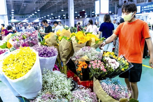  西安市花卉市场概览，探寻西安花卉市场的繁荣与魅力--第1张